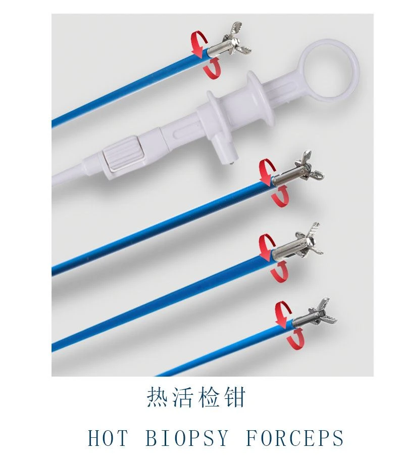 hot biopsy forceps